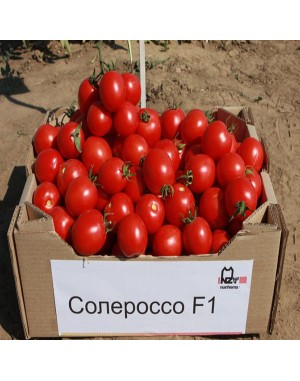 Солероссо F1 в кассете